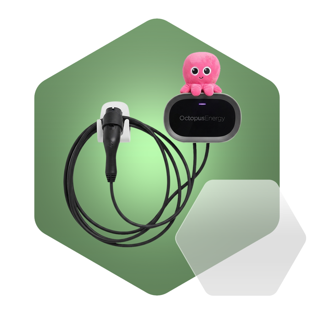 Octopus Charge home EV charger installed on a brick wall